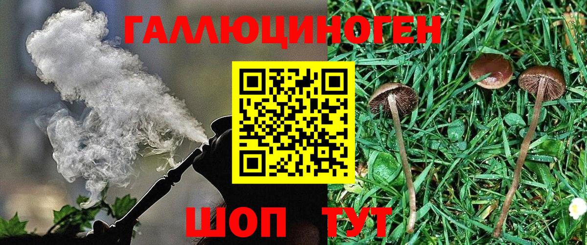 Муравленко  Псилоцибиновые грибы прущие грибы  Псилоцибиновые грибы мухоморы  сколько стоит  Вход с VPN 