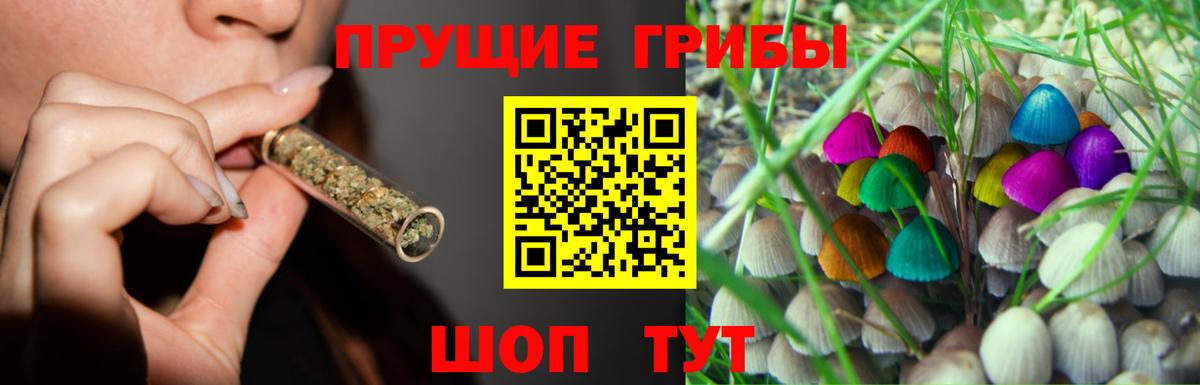 Галлюциногенные грибы Psilocybe Муравленко
